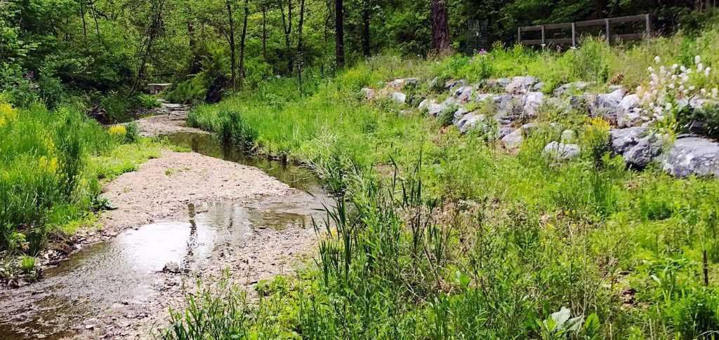 Capital Area Greenbelt - Paxtang Parkway. Small stream running through wild grassland
