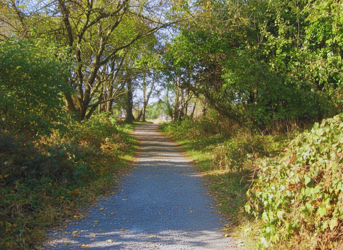 Farmingdale Trail. Stone paved trail in heavily wooded area