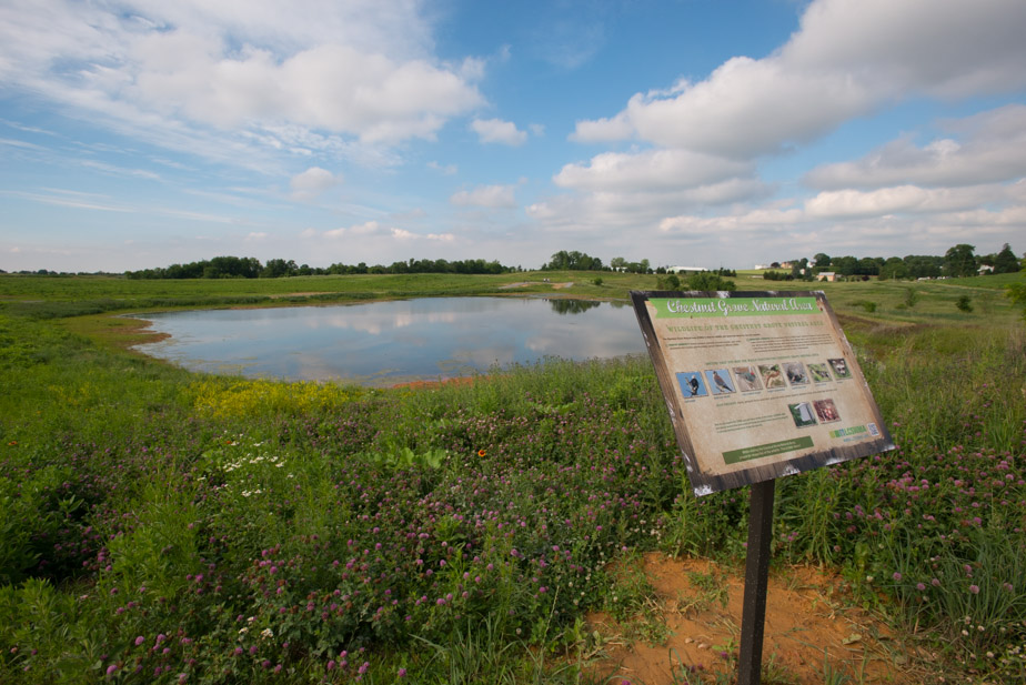 Chestnut Grove natural area. A sign in front of water in the middle of a beautiful field of pink wildflowers